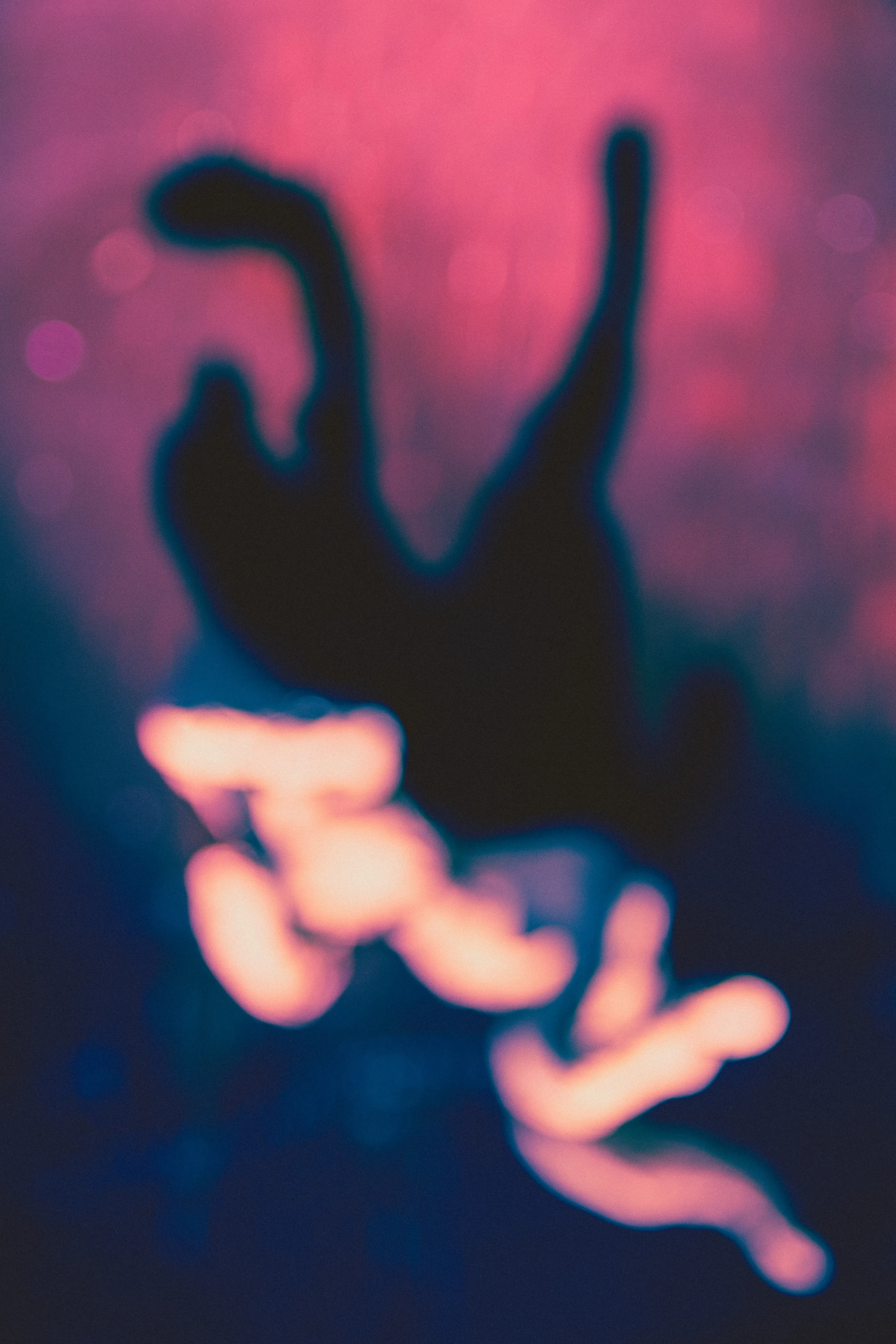 Untitled (Figure), from the Index / Visual Experiments series.