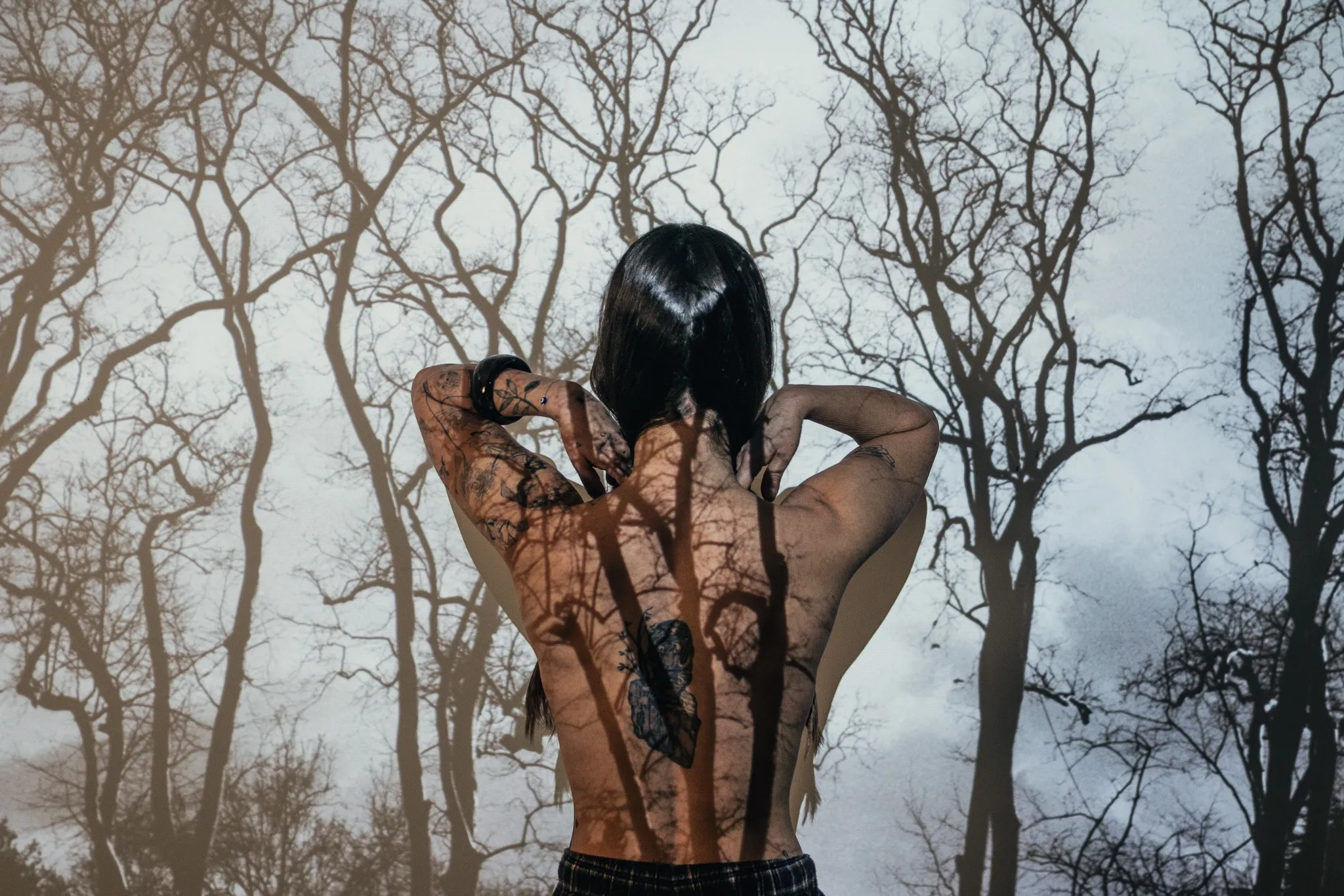 Untitled, from the The Trees and I series.