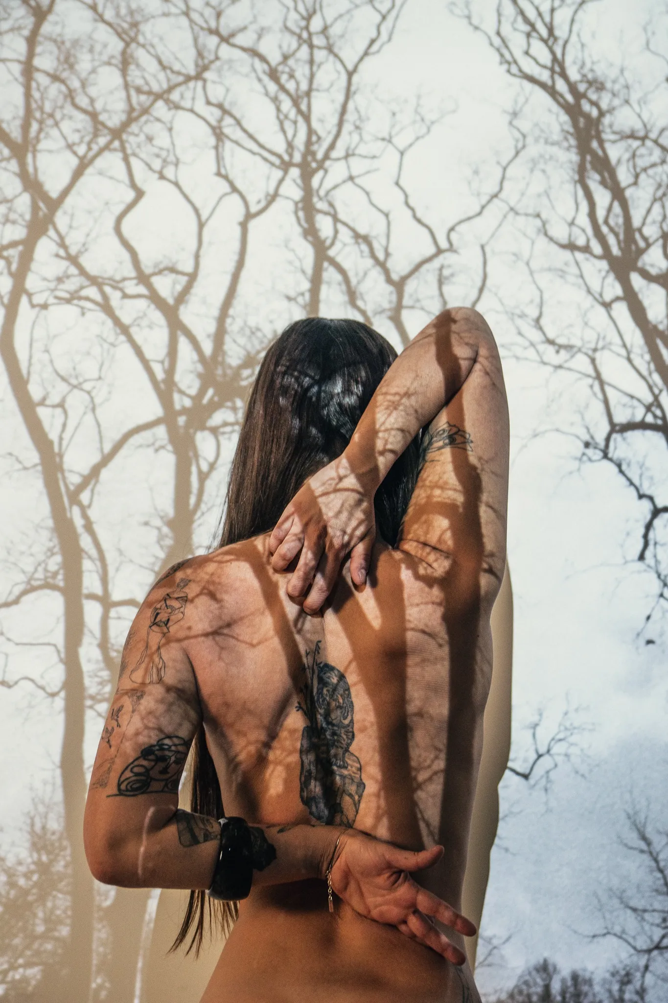 Untitled, from the The Trees and I series.