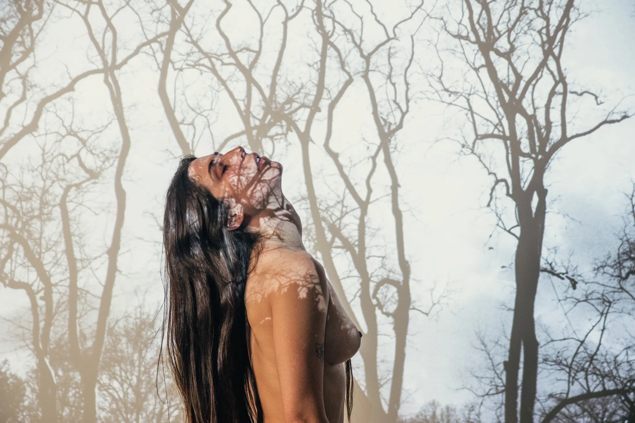 Untitled, from the The Trees and I series.