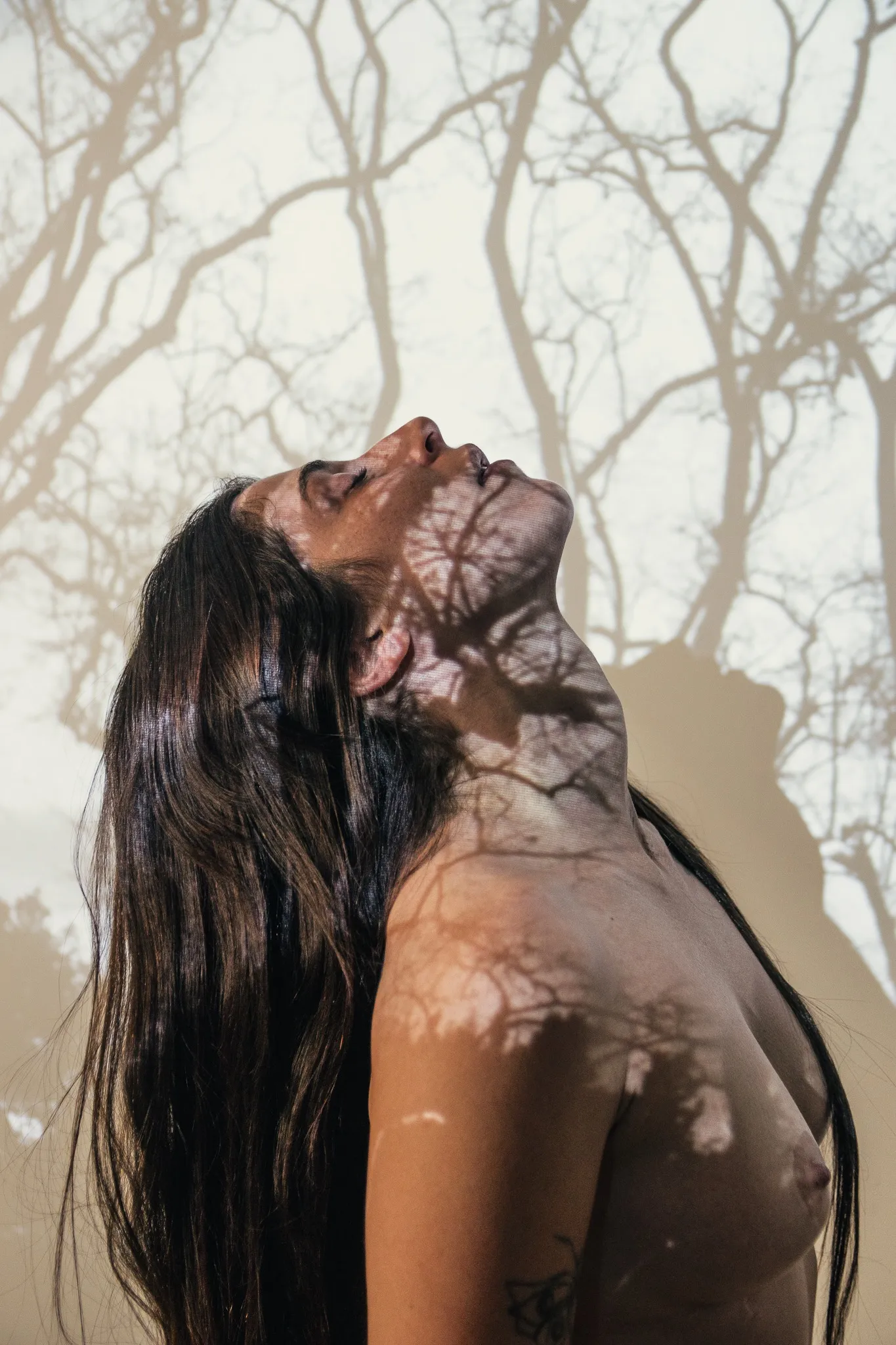 Untitled, from the The Trees and I series.