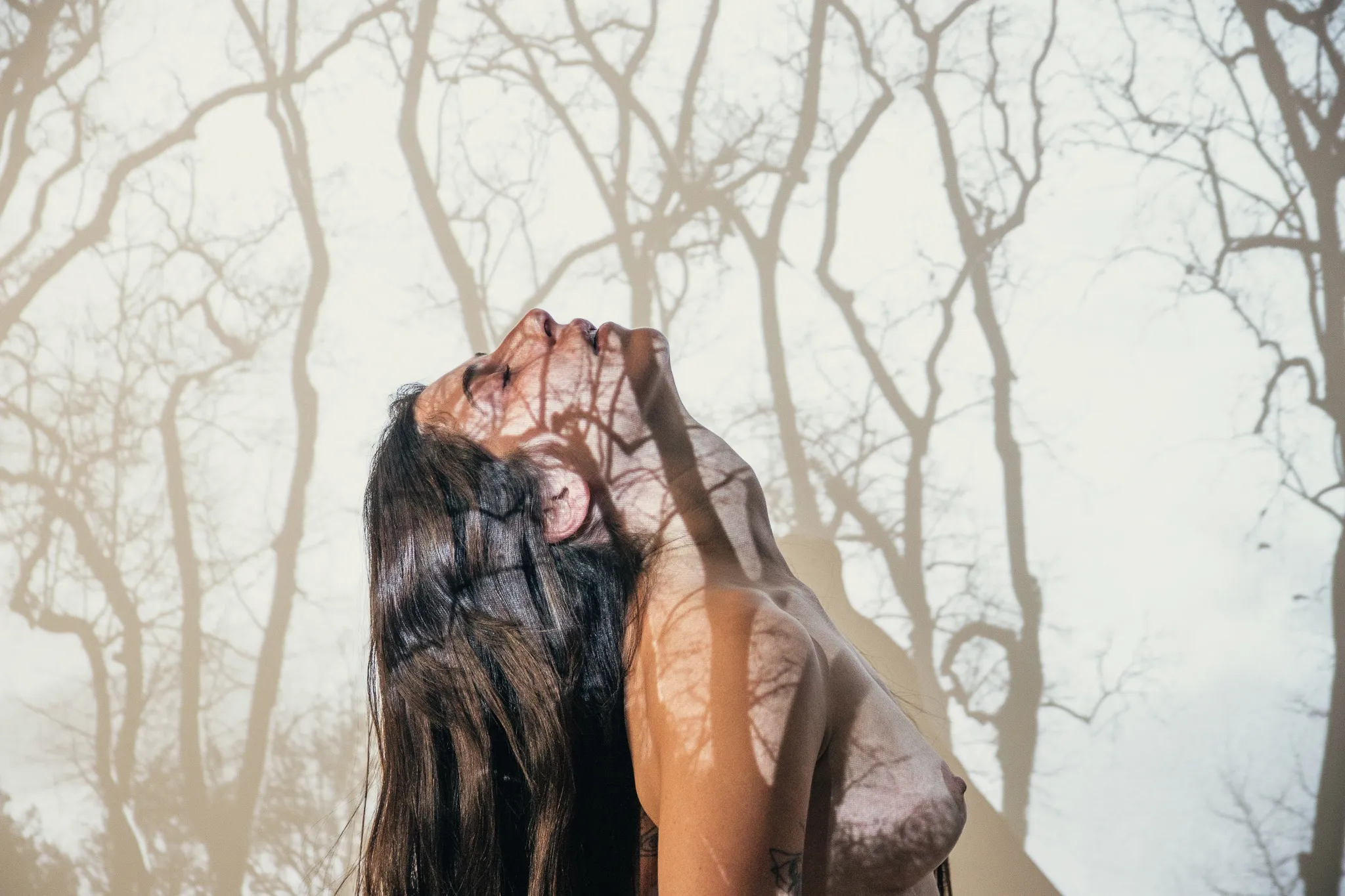 Untitled, from the The Trees and I series.