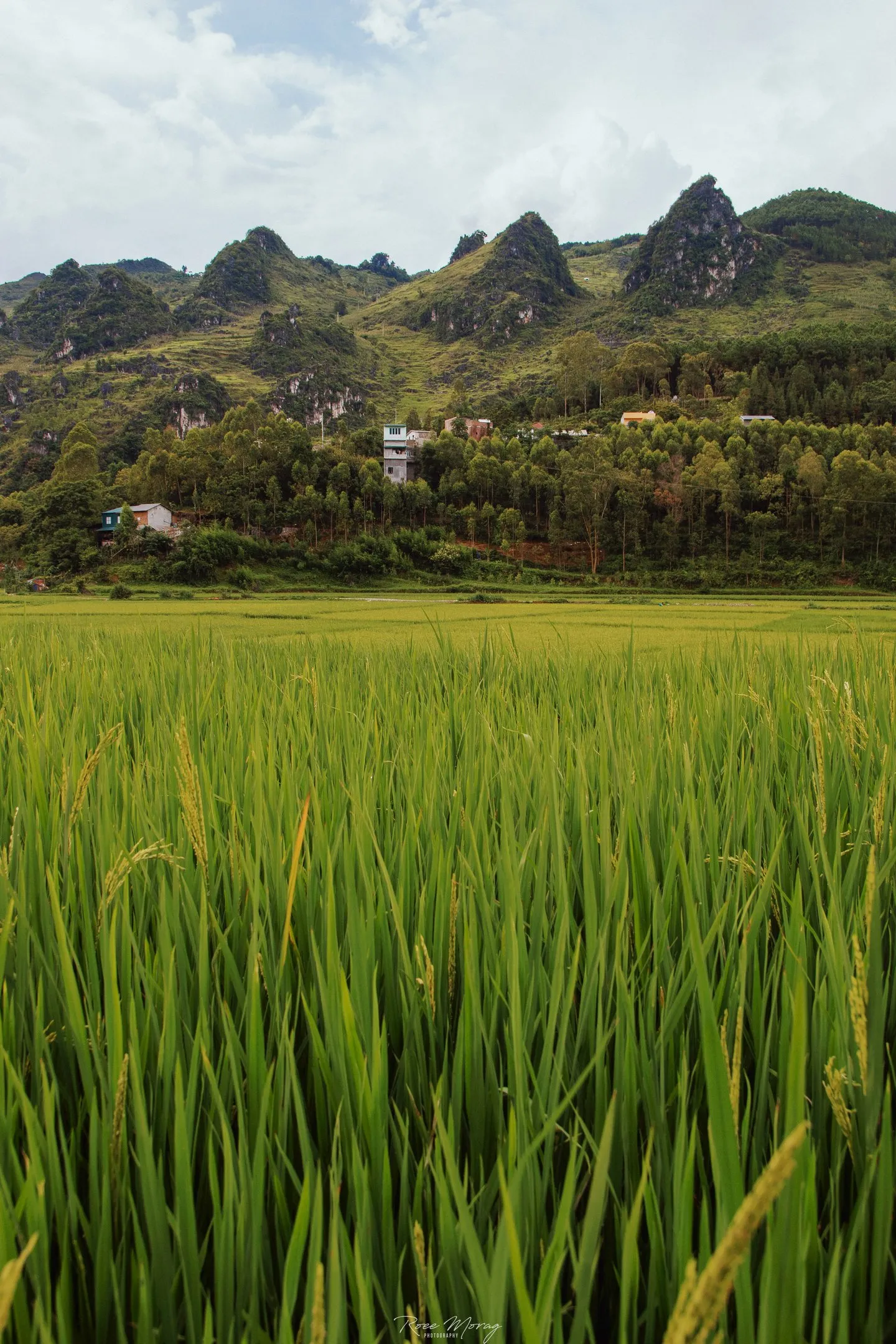 Vietnam, 2023, from the Vietnam on Film series.