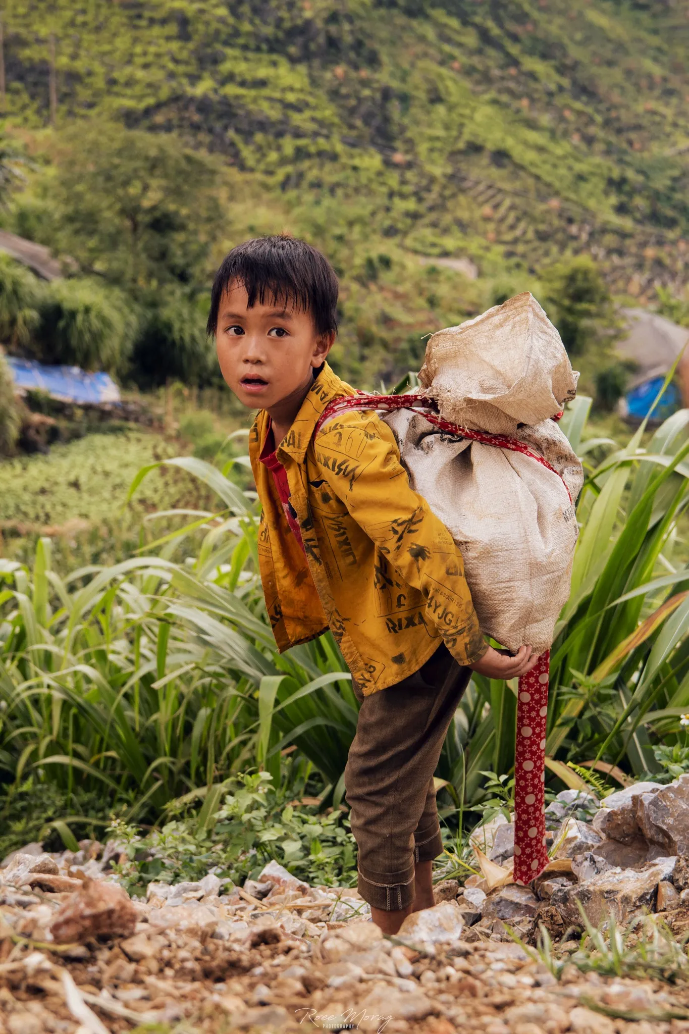 Vietnam, 2023, from the Vietnam on Film series.